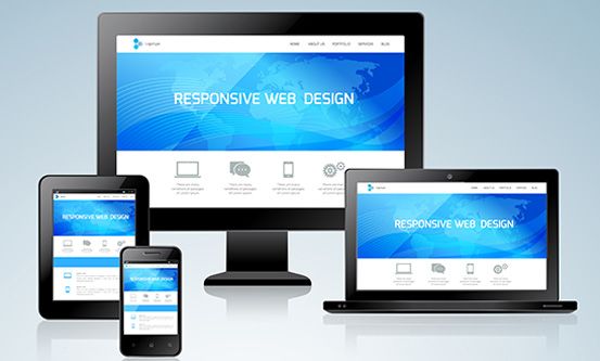 大型網站平臺定制方案